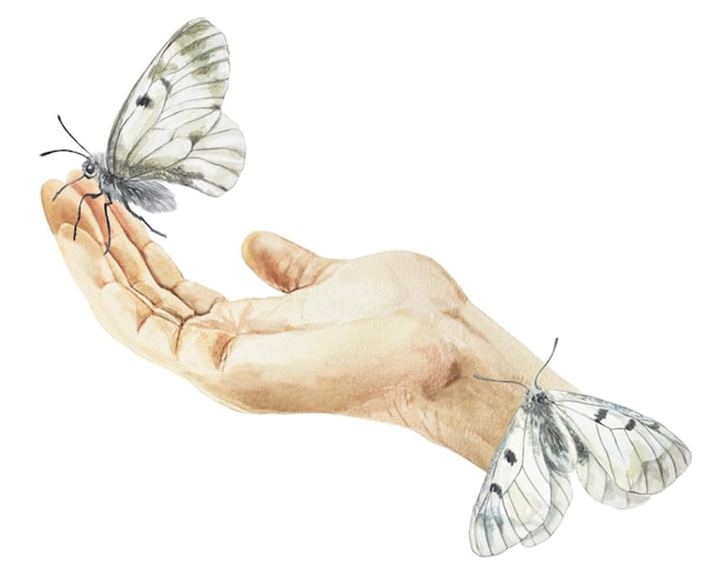 Een hand met vlinders